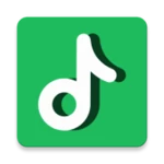 tube music android application logo